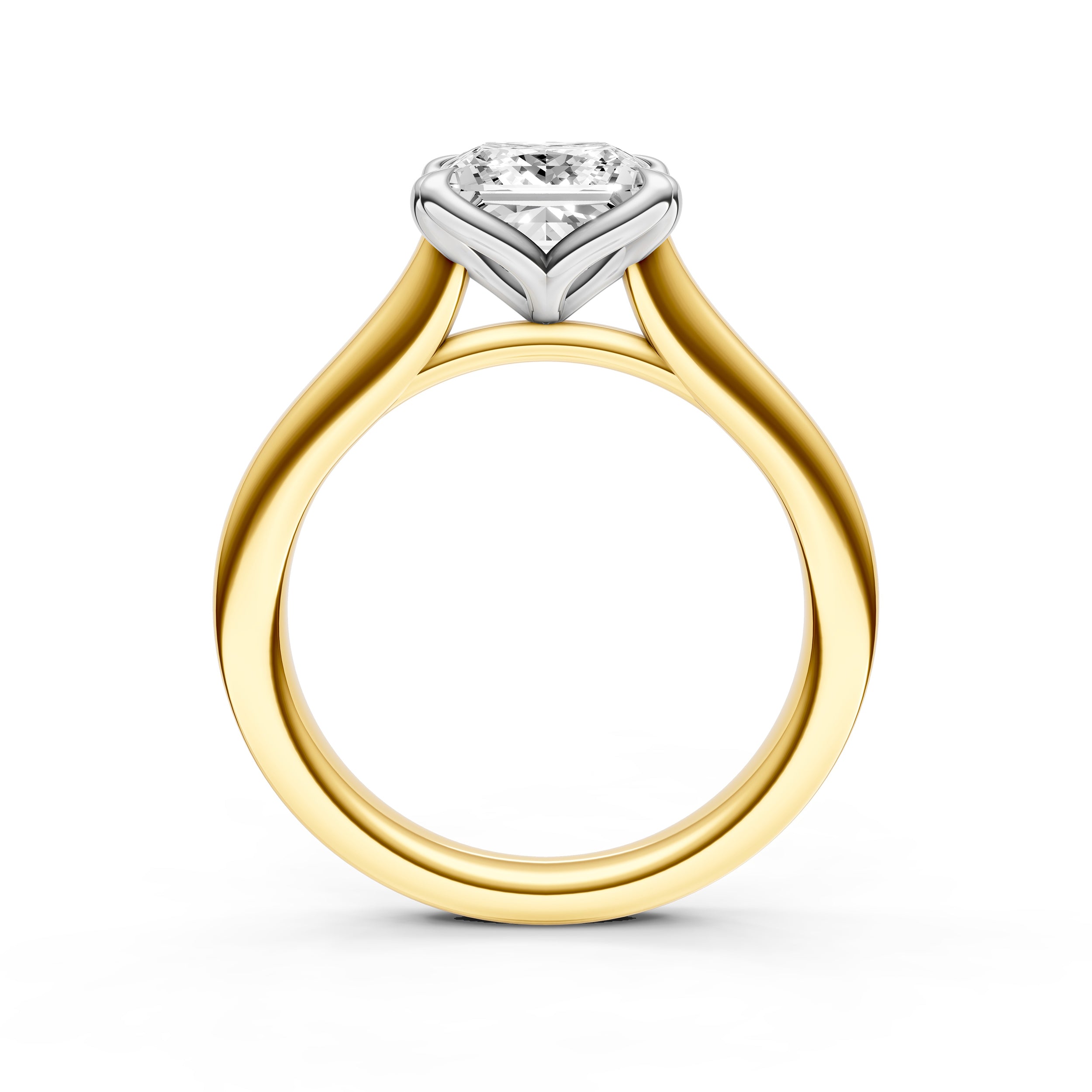 Petal Cathedral Engagement Ring (Princess Cut) Birmingham Jewelry Engagement Ring Birmingham Jewelry 
