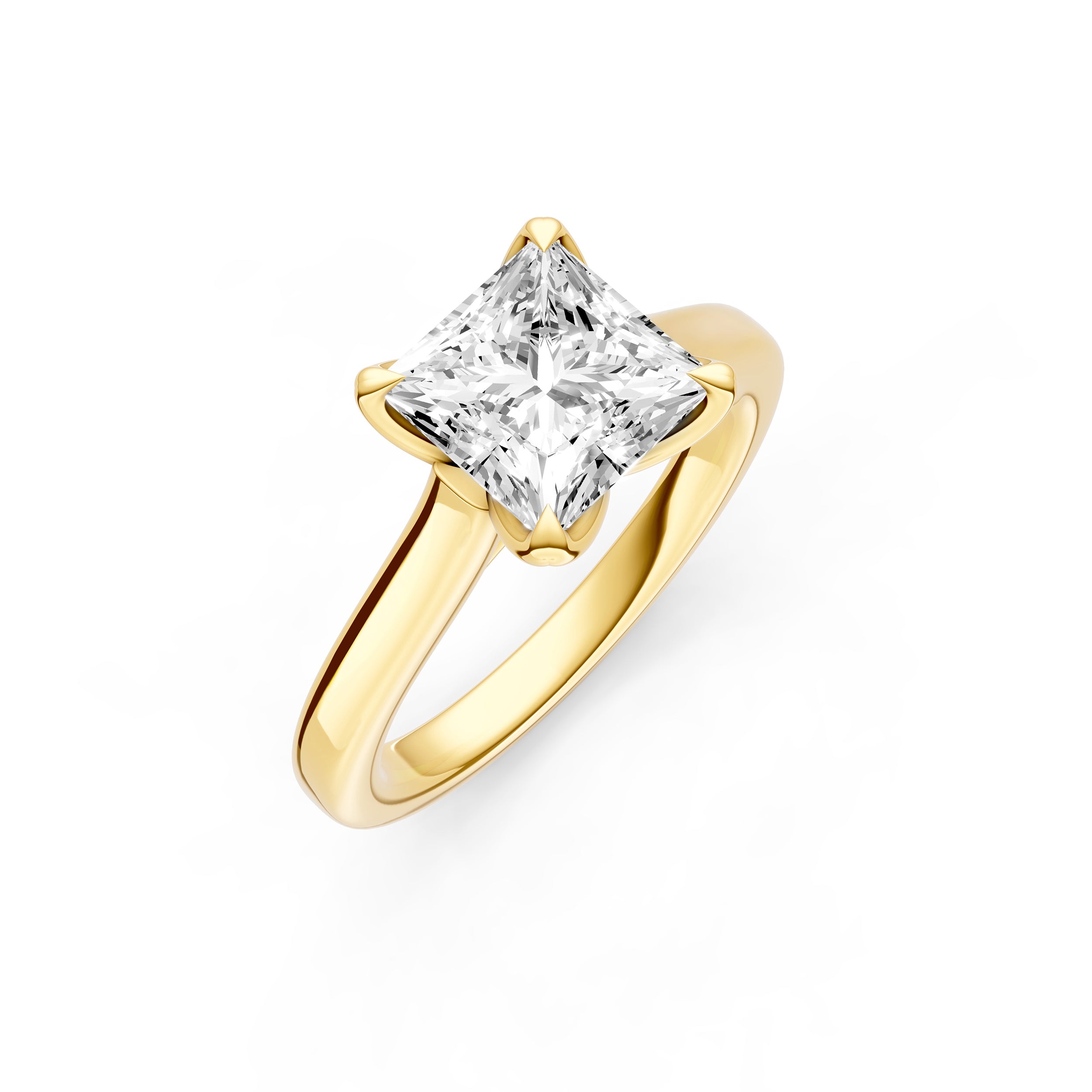 Petal Cathedral Engagement Ring (Princess Cut) Birmingham Jewelry Engagement Ring Birmingham Jewelry 