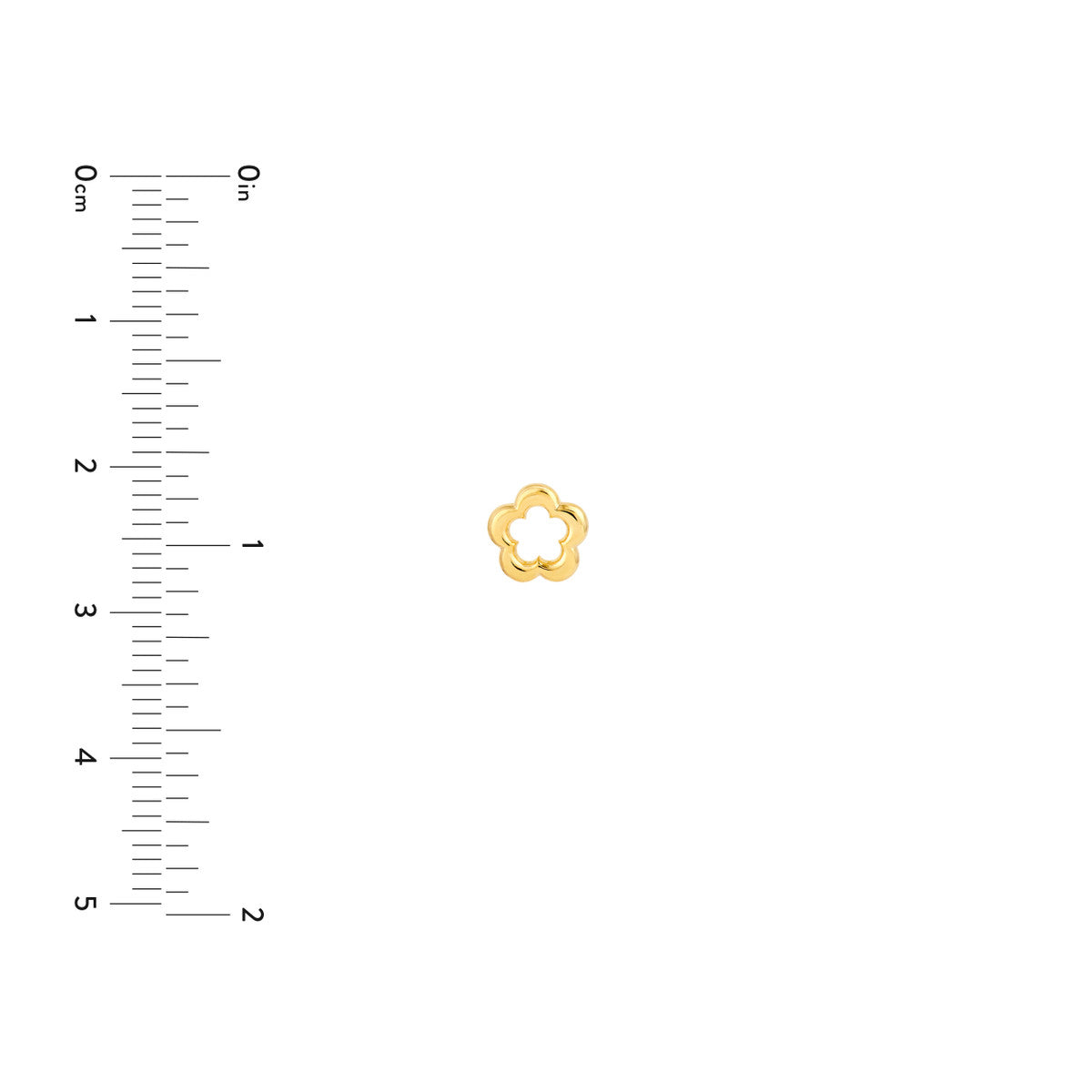 14K Yellow Gold Open Flower Stud Earrings