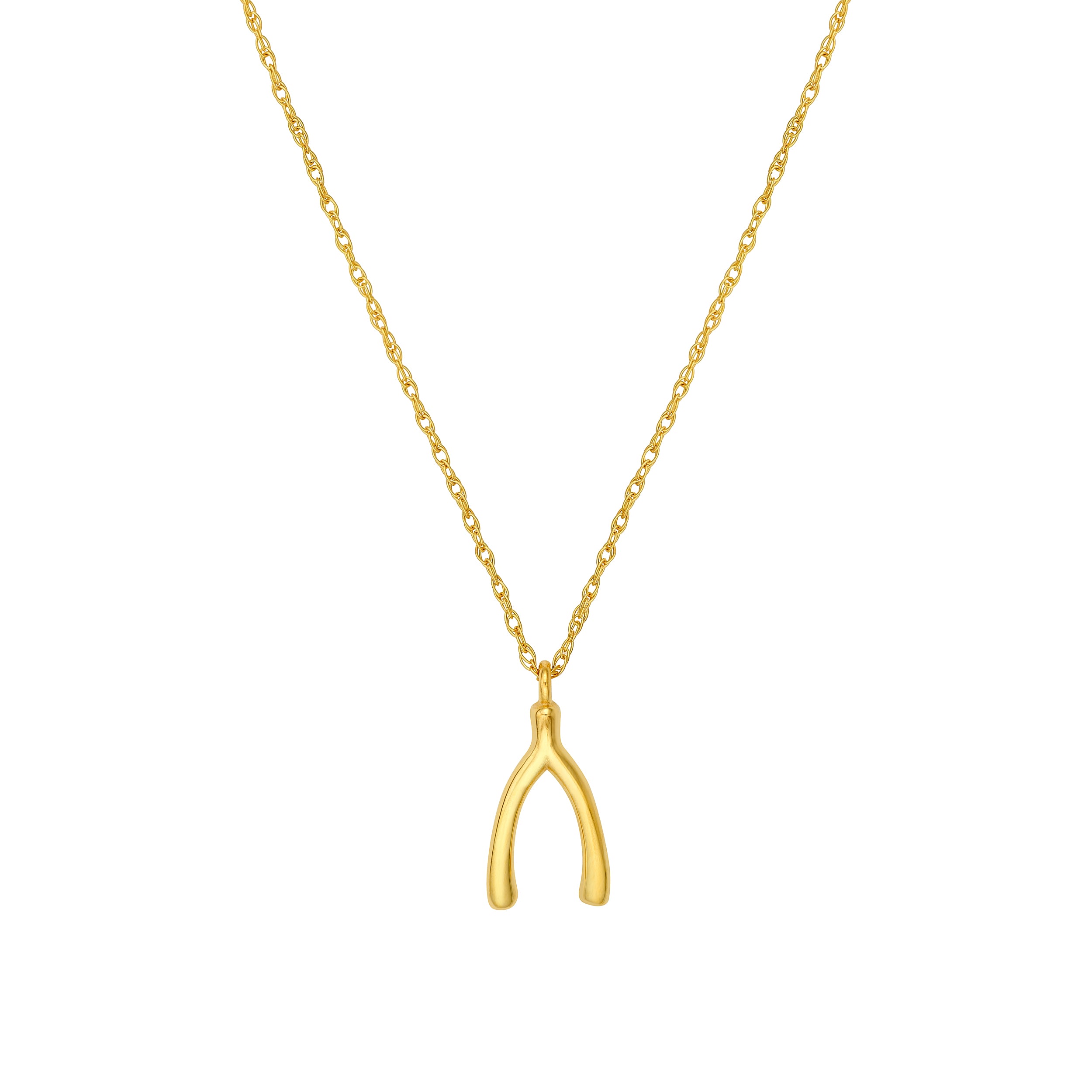 14K Yellow Gold So You Wishbone Pendant Necklace Birmingham Jewelry Necklace Birmingham Jewelry 
