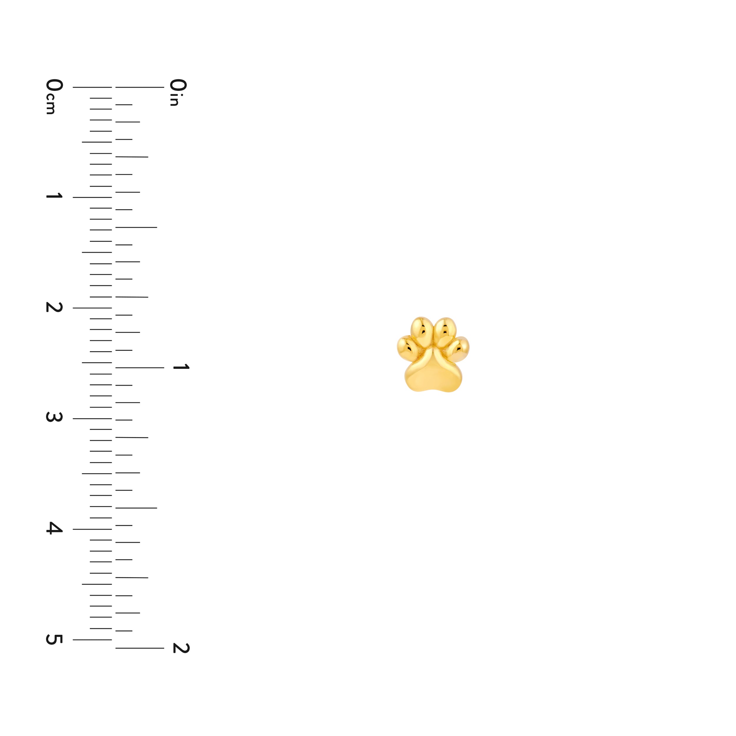 14K Yellow Gold Dog Paw Stud Earrings Birmingham Jewelry Earrings Birmingham Jewelry 
