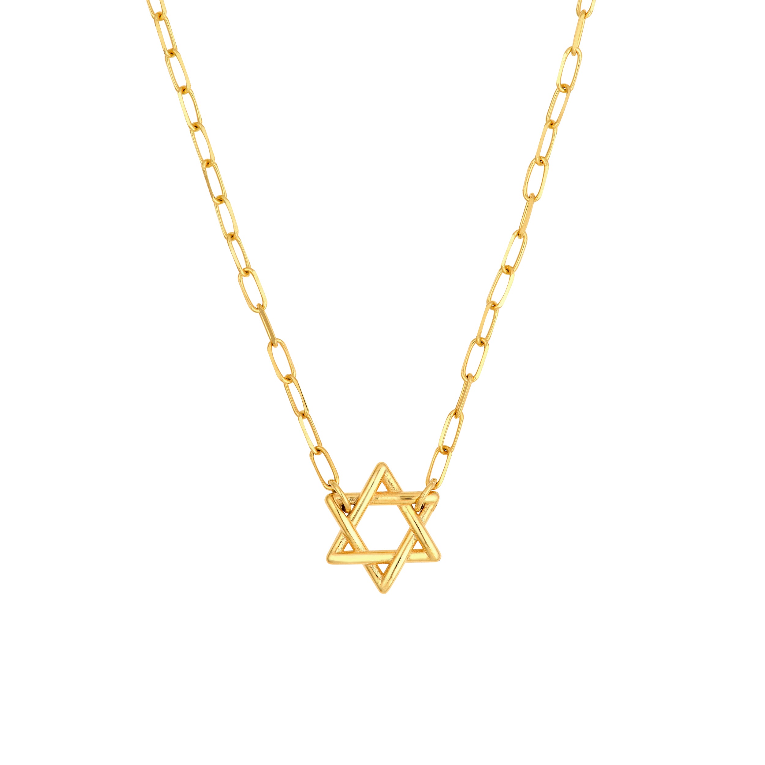 14K Yellow Gold Star of David Paper Clip Necklace Birmingham Jewelry Necklace Birmingham Jewelry 