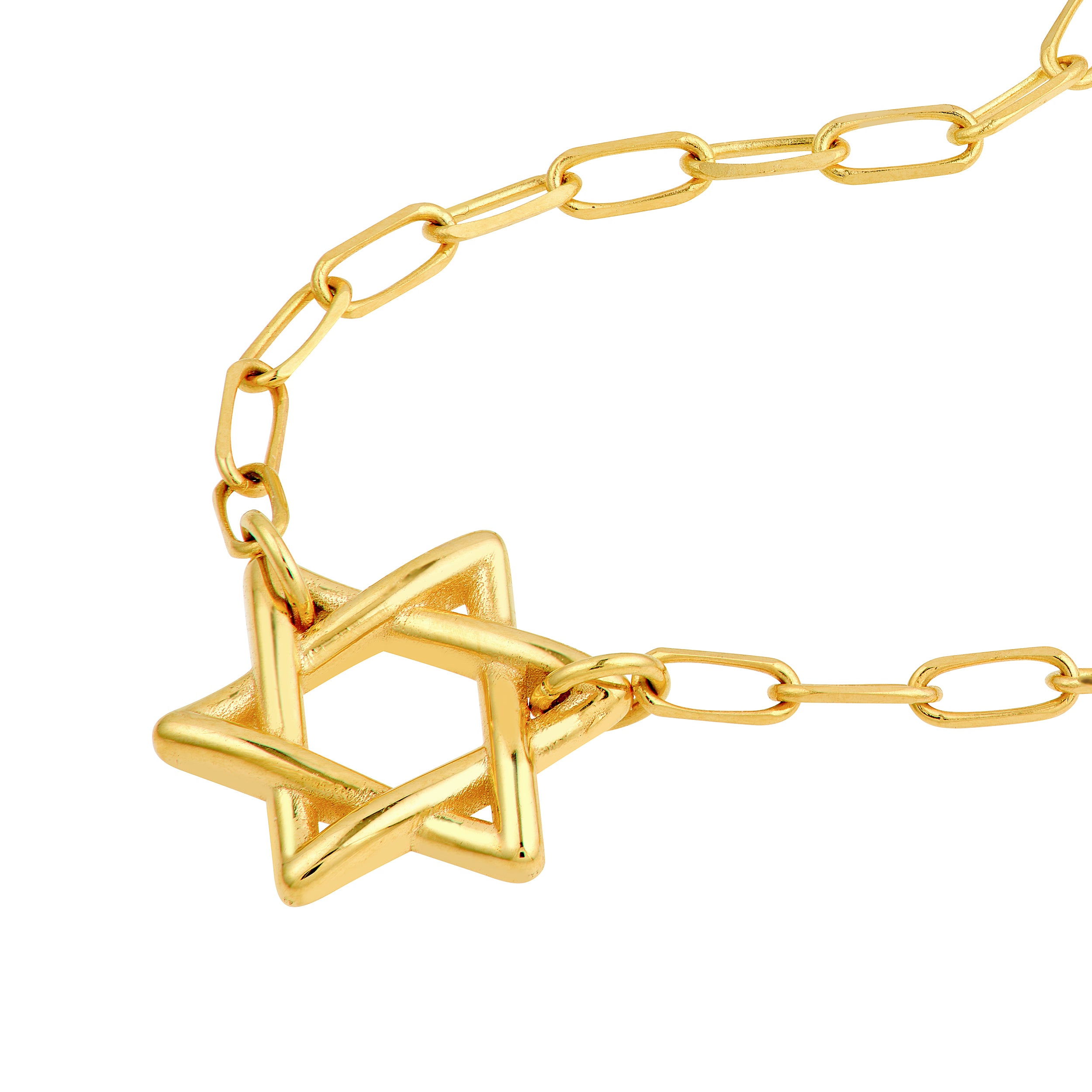 14K Yellow Gold Star of David Paper Clip Necklace Birmingham Jewelry Necklace Birmingham Jewelry 