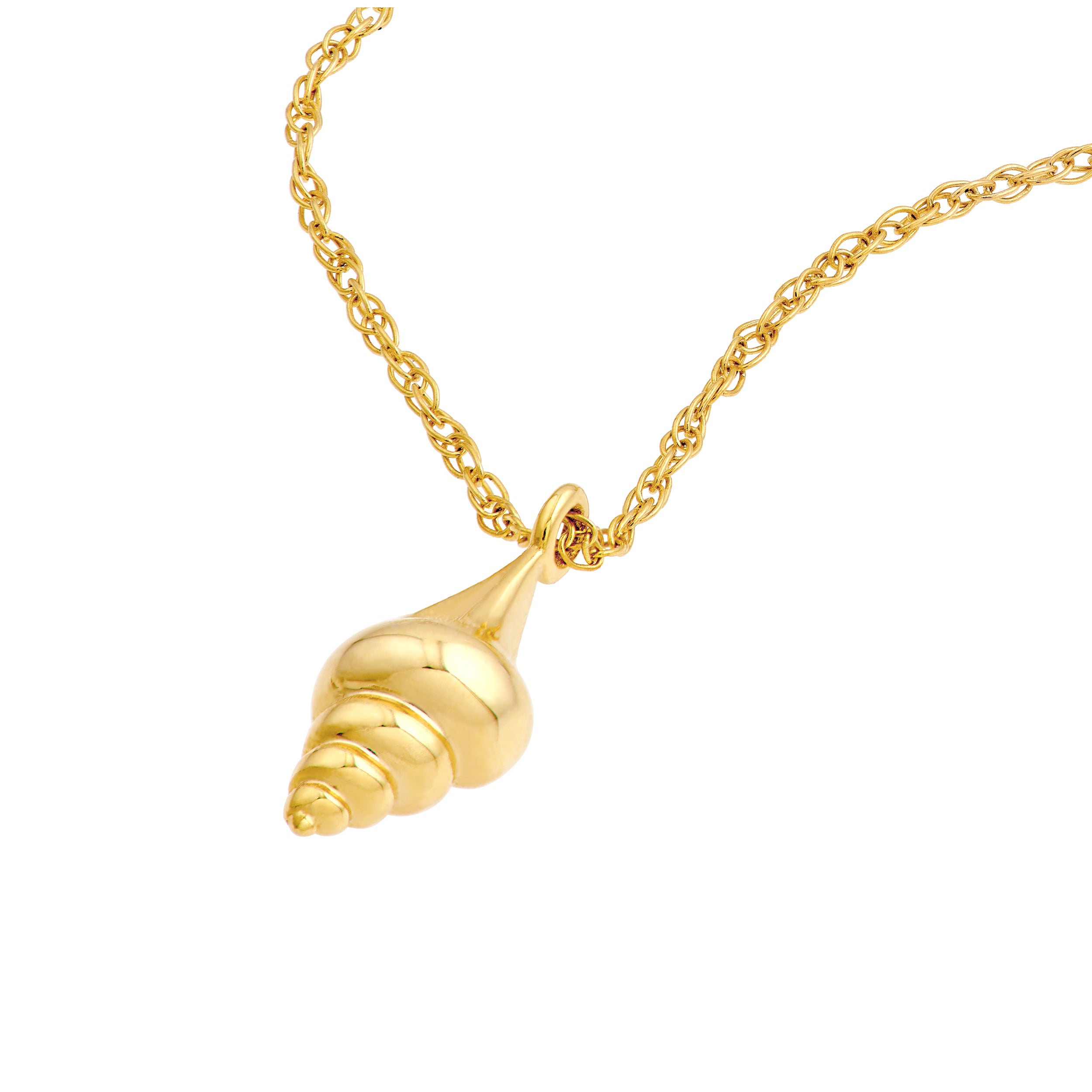 14K Yellow Gold So You Conch Shell Pendant Necklace Birmingham Jewelry Necklace Birmingham Jewelry 