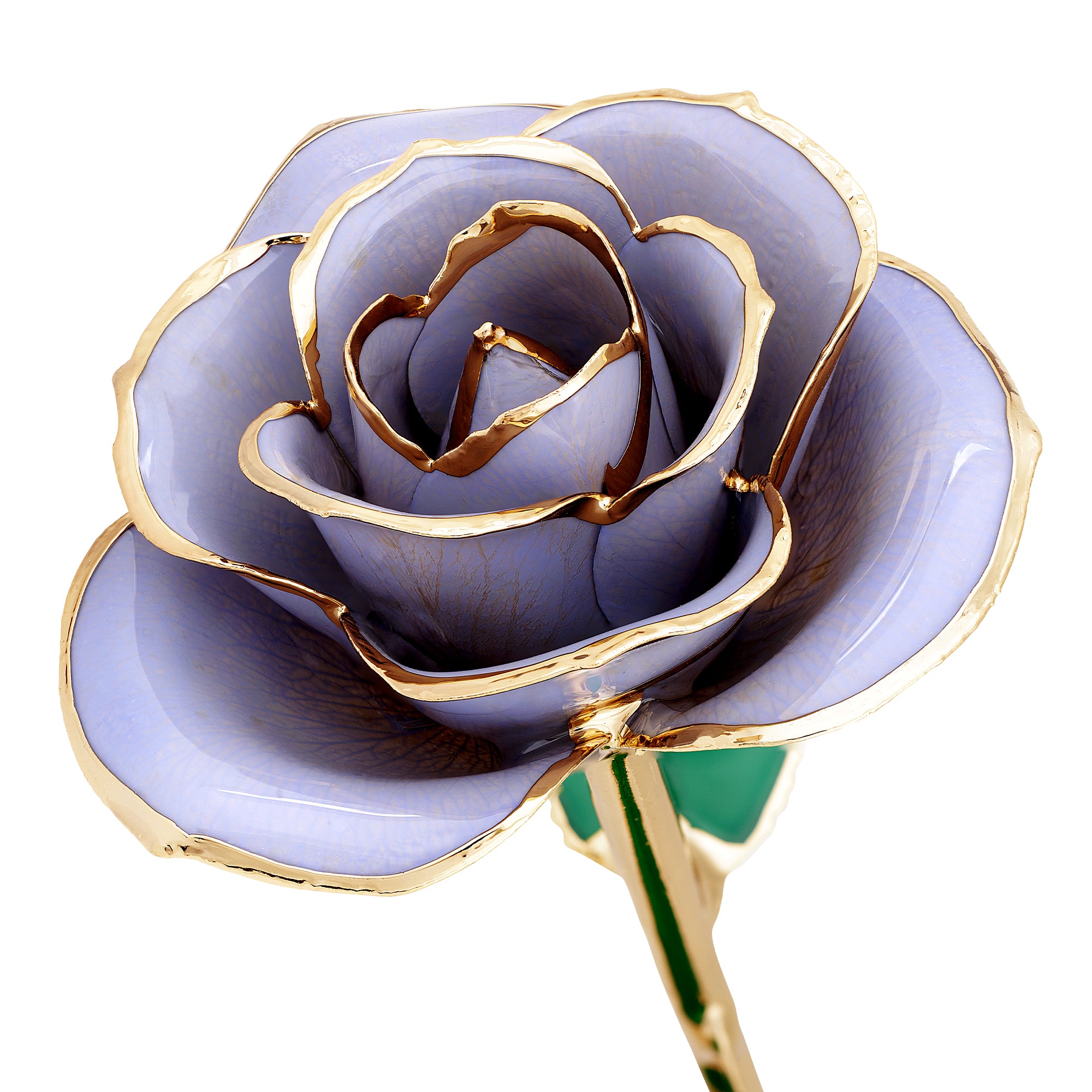 Sweet Lilac - 24K Dipped Rose