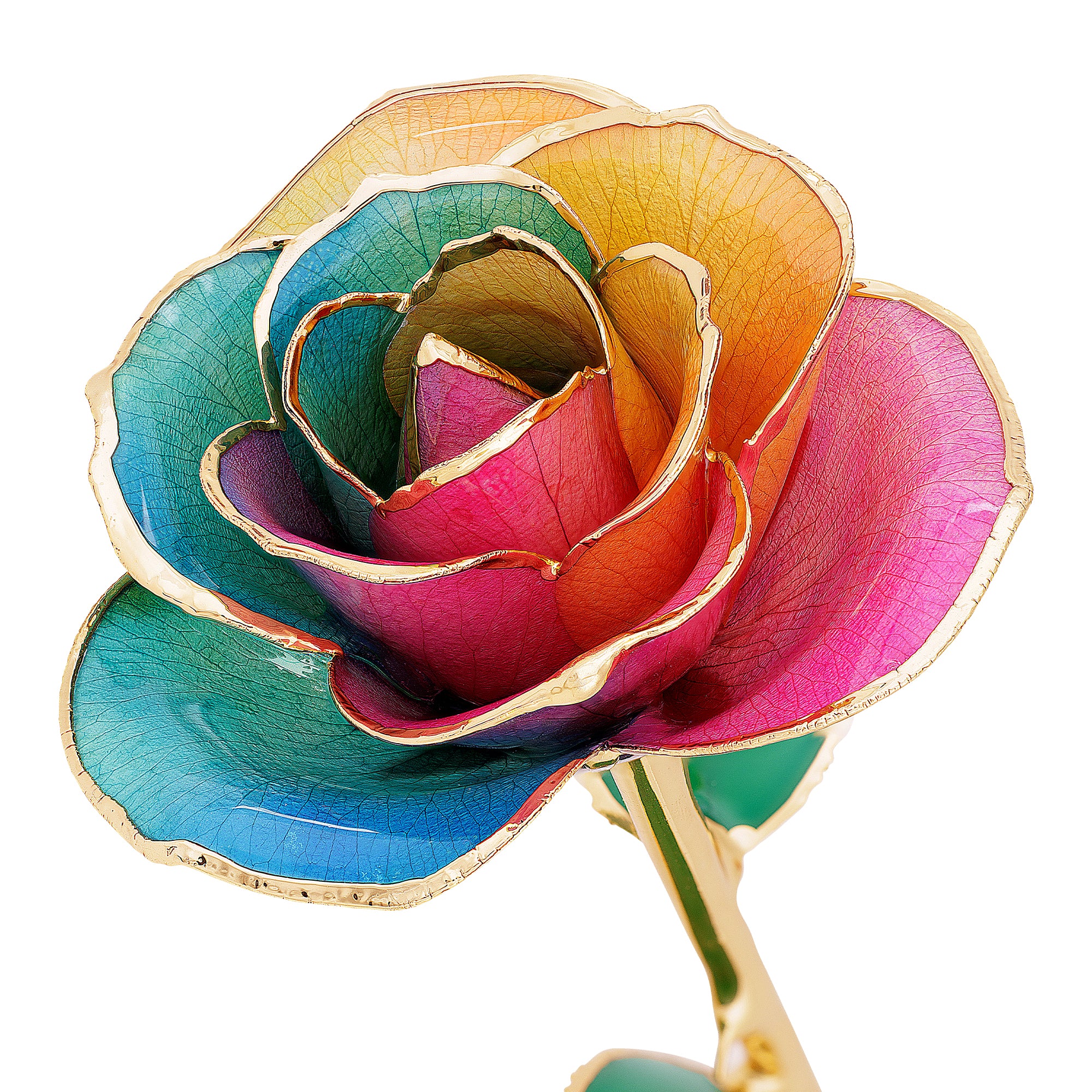 Boho Beauty - 24K Dipped Rose