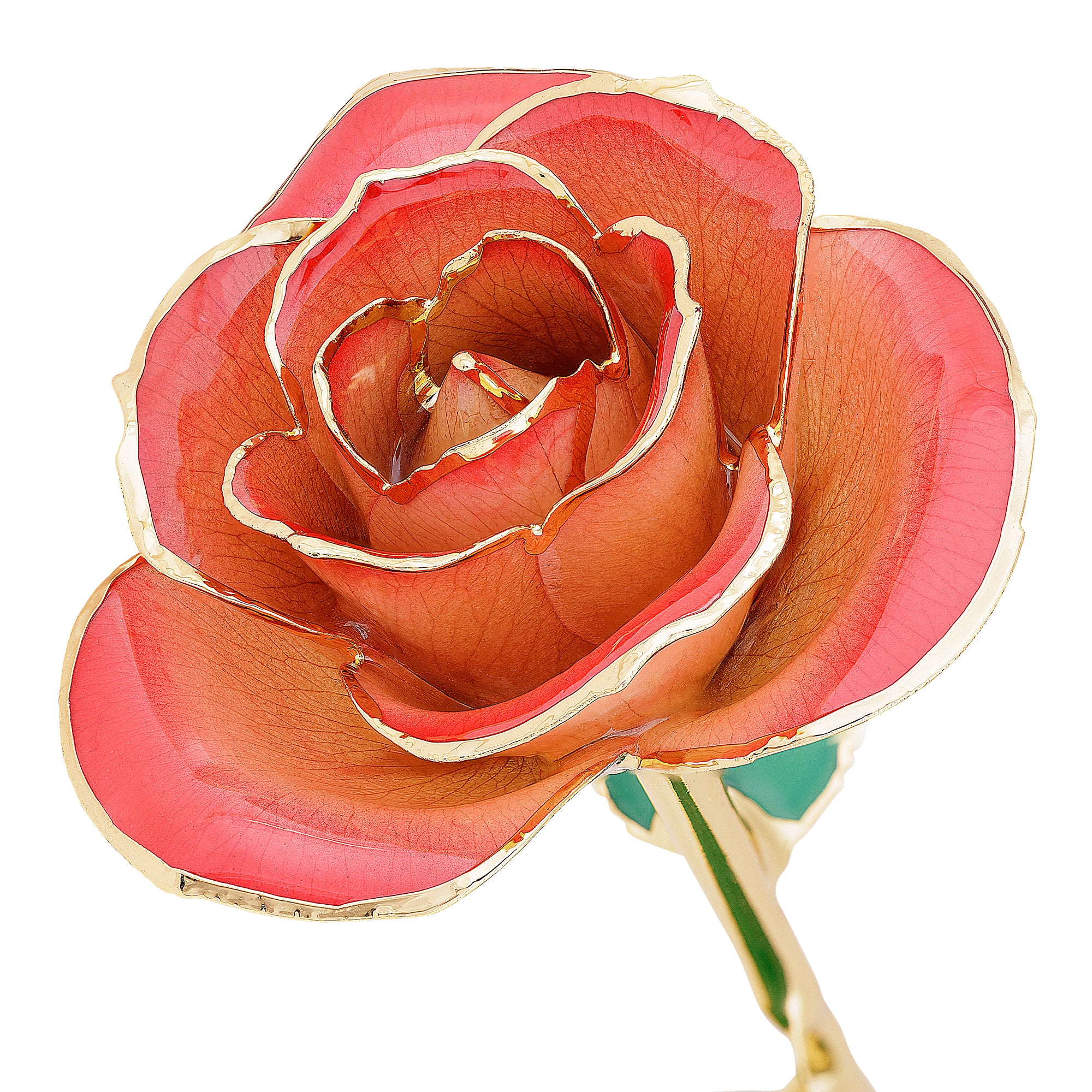 Blushed Red - 24K Dipped Rose