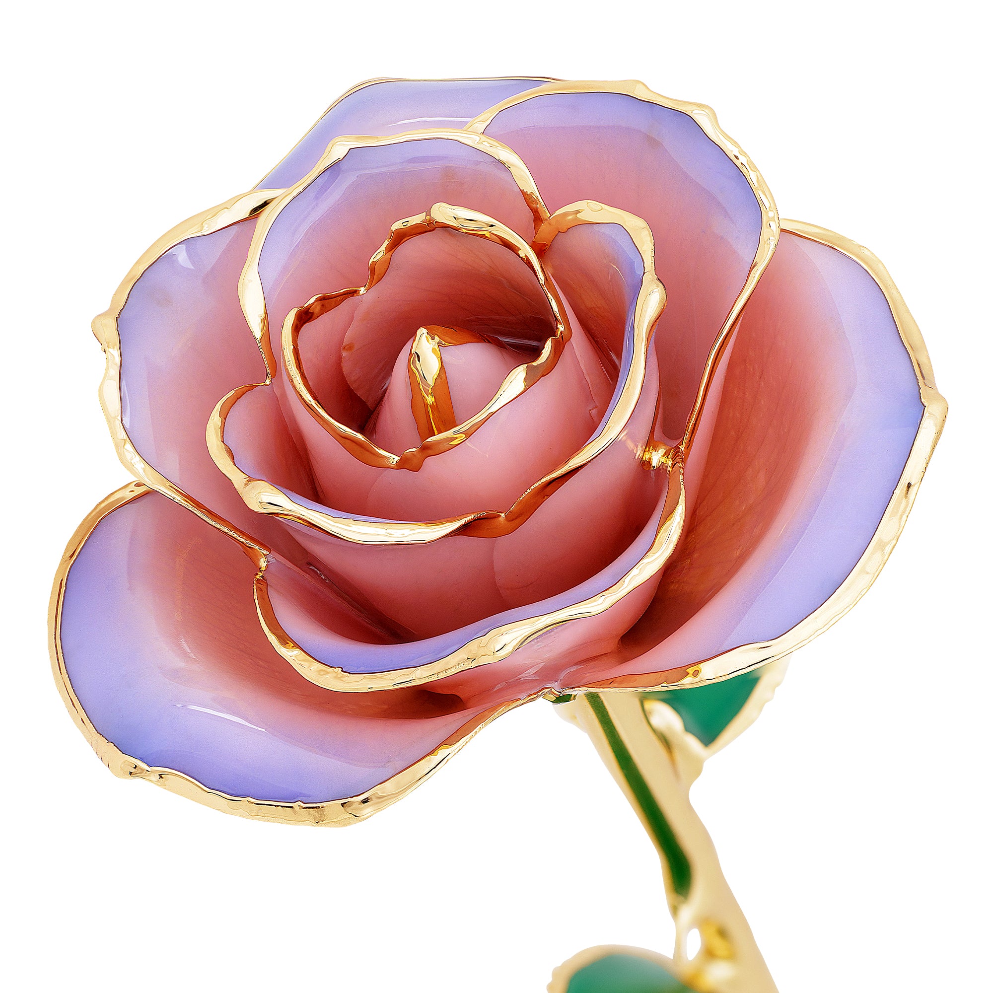 Blushed Lilac - 24K Dipped Rose