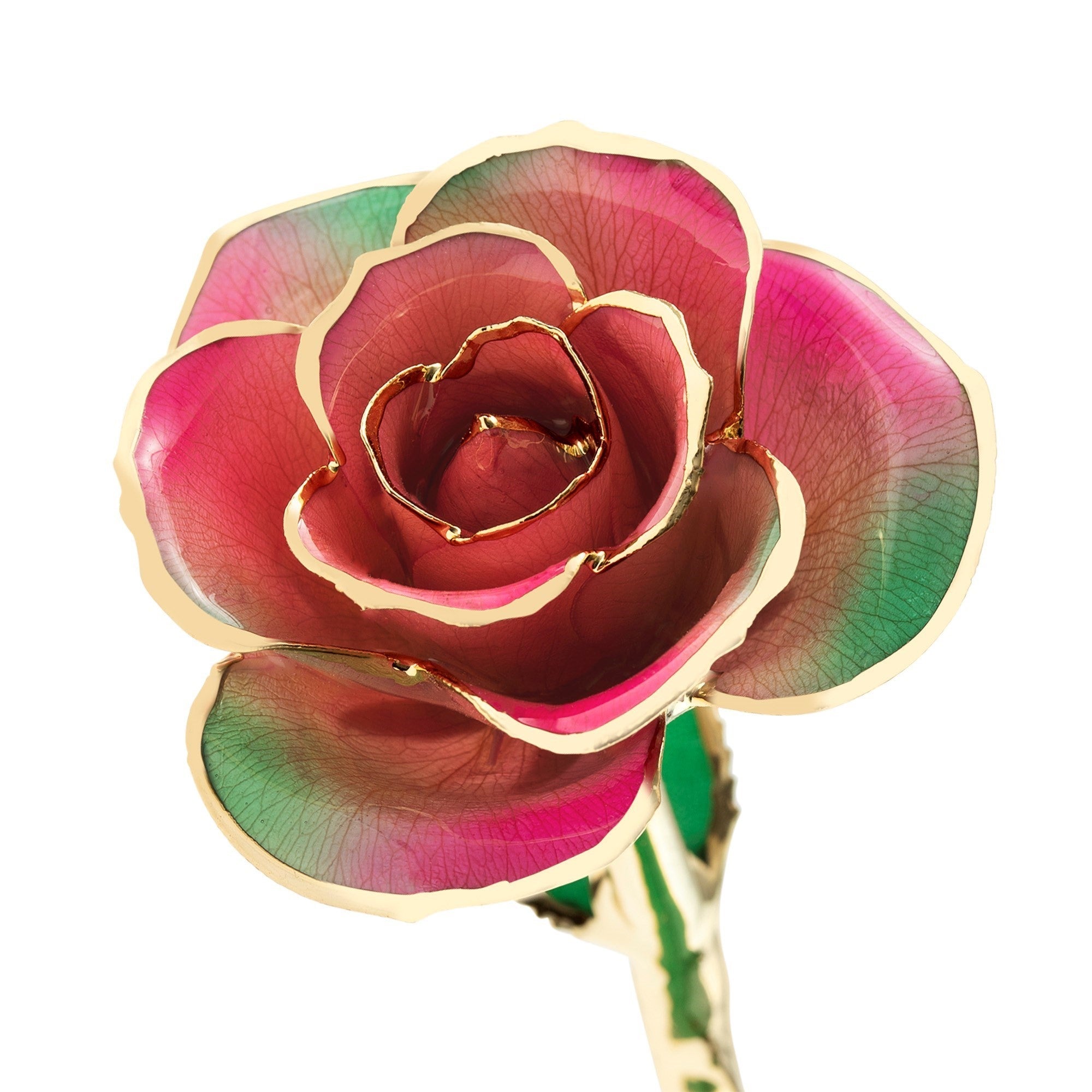 Fairy Forest Pink - 24K Dipped Rose