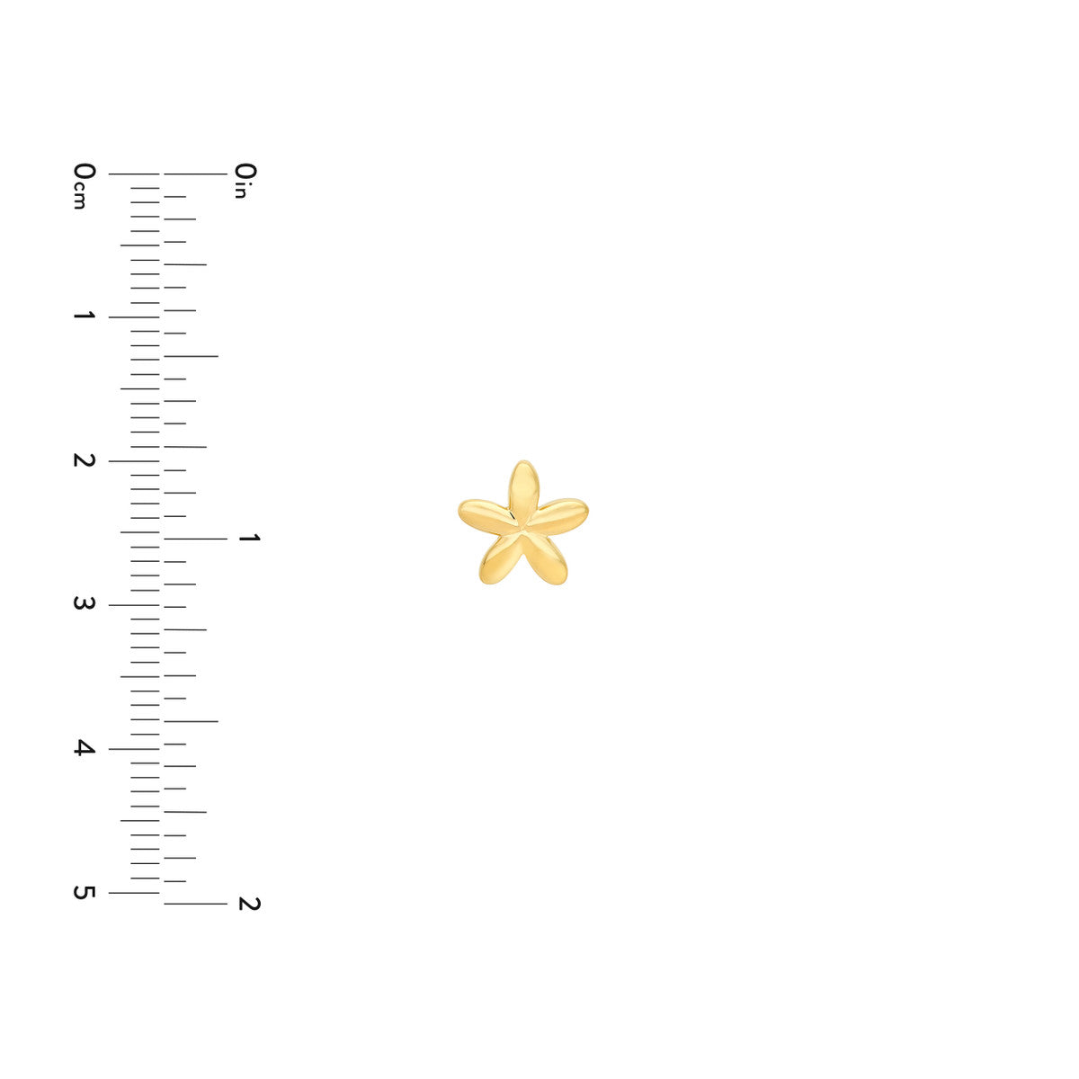 14K Yellow Gold Polished Flower Stud Earrings
