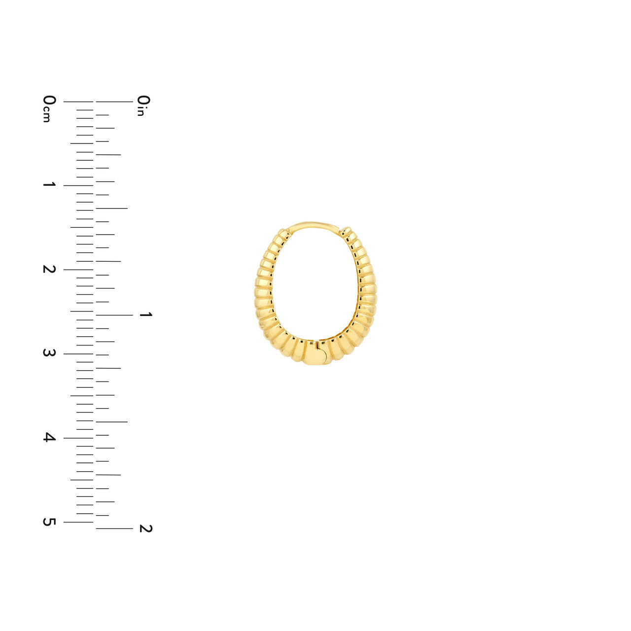 14K Yellow Gold Graduated Shrimp Oval Hoop Earrings