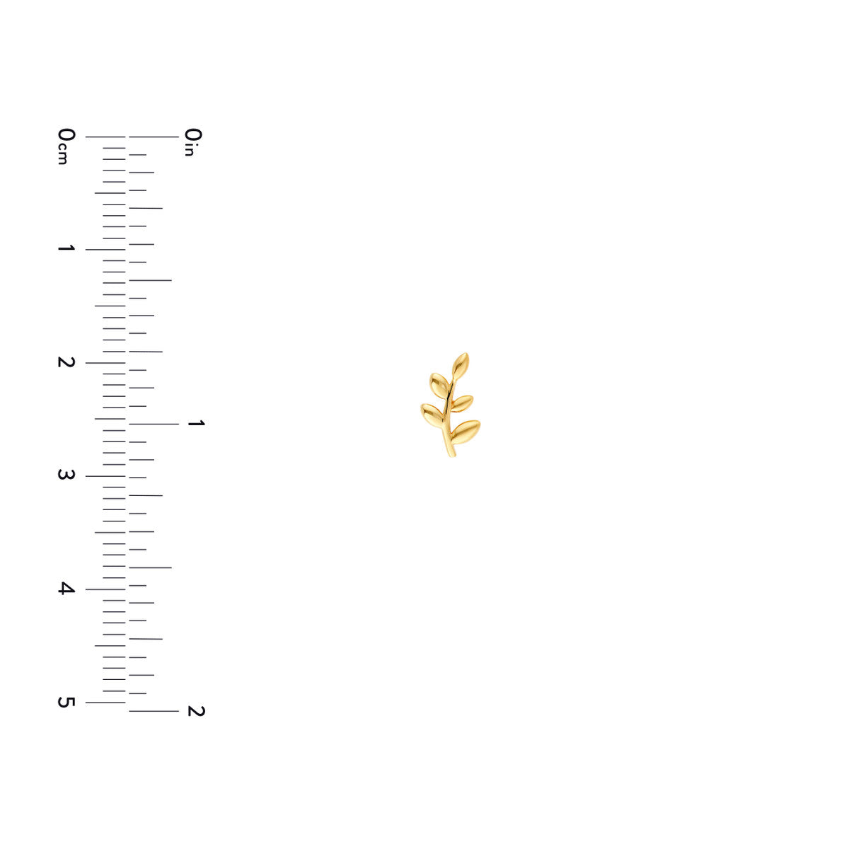 14K Yellow Gold Leaf Branch Stud Earrings