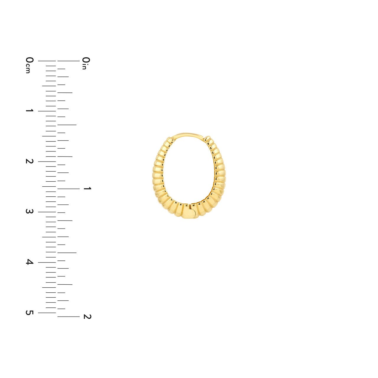 Birmingham Jewelry - 14K Yellow Gold Graduated Shrimp Oval Hoop Earrings - Birmingham Jewelry