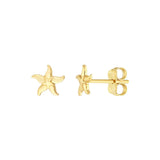 Birmingham Jewelry - 14K Yellow Gold Starfish Stud Earrings - Birmingham Jewelry