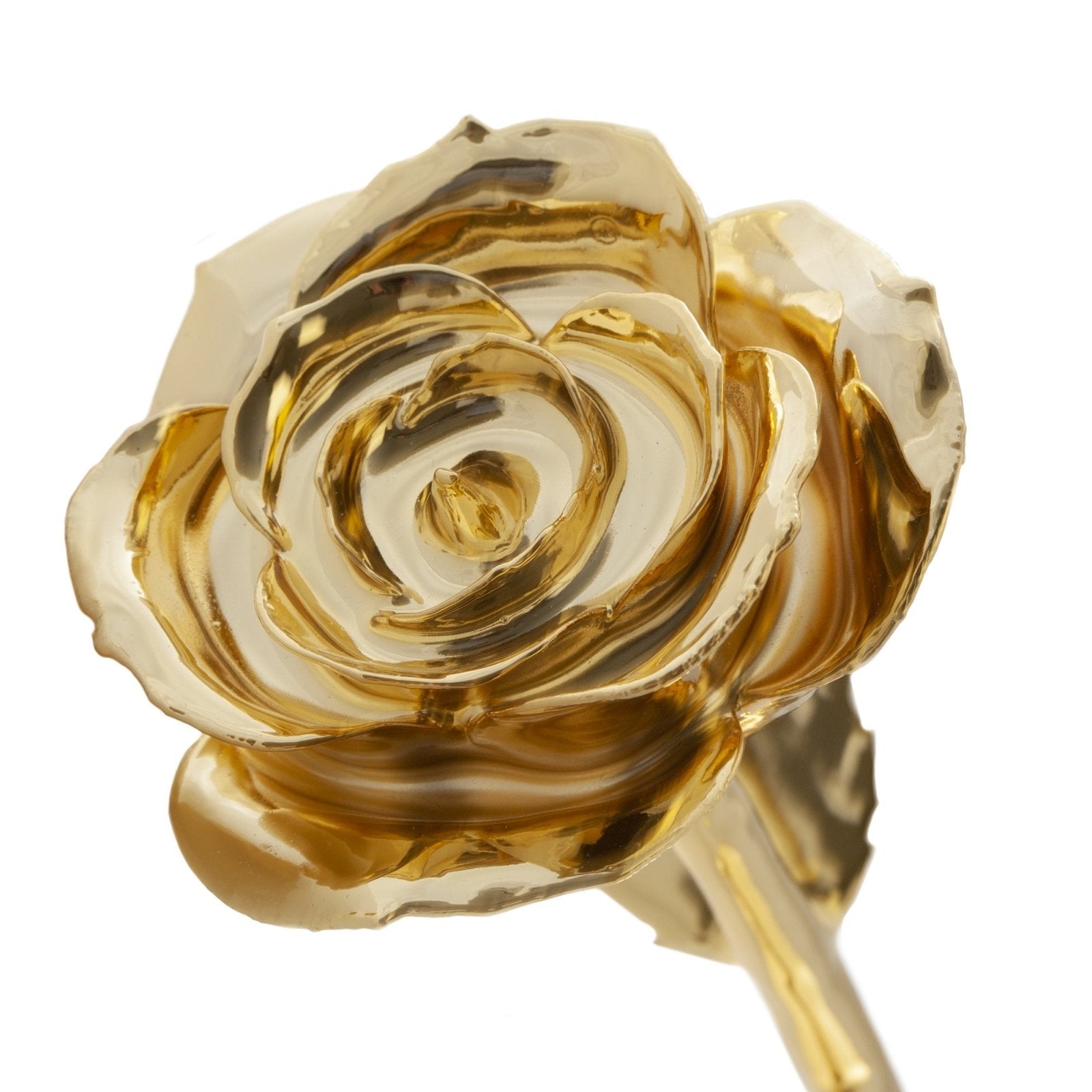 Birmingham Jewelry - Glamorous Gold - 24K Dipped Rose - Birmingham Jewelry