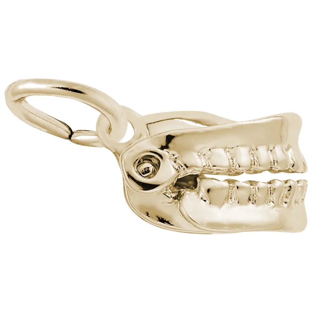 Rembrandt Charms - False Teeth Charm - 0642 Rembrandt Charms Charm Birmingham Jewelry 