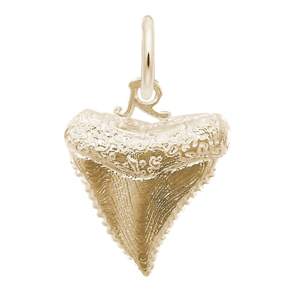 Rembrandt Charms - Rembrandt Charms - Shark Tooth Charm - 1025 - Birmingham Jewelry