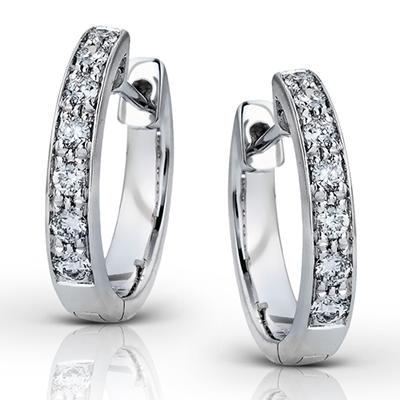 ZEGHANI - ZE144 Paparazzi ZEGHANI Hoop Earrings Birmingham Jewelry 