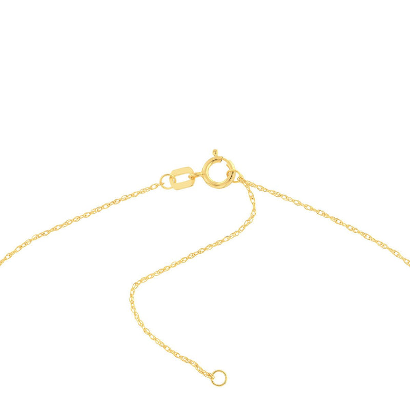 Birmingham Jewelry - 14K Yellow Gold So You Cutout Paw Mini Disc Adj Necklace - Birmingham Jewelry
