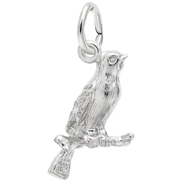Rembrandt Charms - Canary Charm - 1611 Rembrandt Charms Charm Birmingham Jewelry 