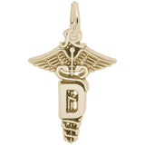 Rembrandt Charms - Dental Caduceus Charm - 8331 Rembrandt Charms Charm Birmingham Jewelry 