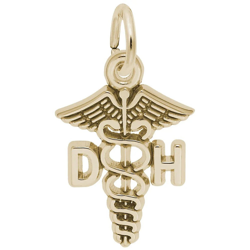 Rembrandt Charms - Dental Hygienist Caduceus Charm - 3672 Rembrandt Charms Charm Birmingham Jewelry 