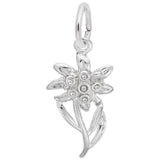 Rembrandt Charms - Edelweiss Flower Charm - 2339 Rembrandt Charms Charm Birmingham Jewelry 