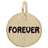 Rembrandt Charms - Forever Tag Charm - 1631 Rembrandt Charms Charm Birmingham Jewelry 