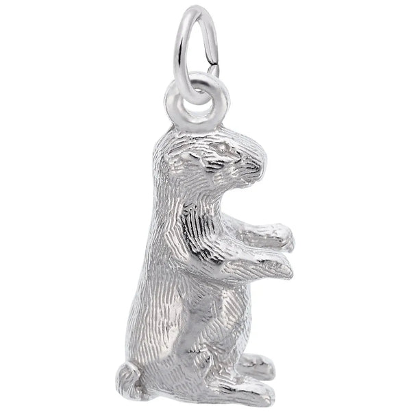 Rembrandt Charms - Groundhog Charm - 2078 Rembrandt Charms Charm Birmingham Jewelry 