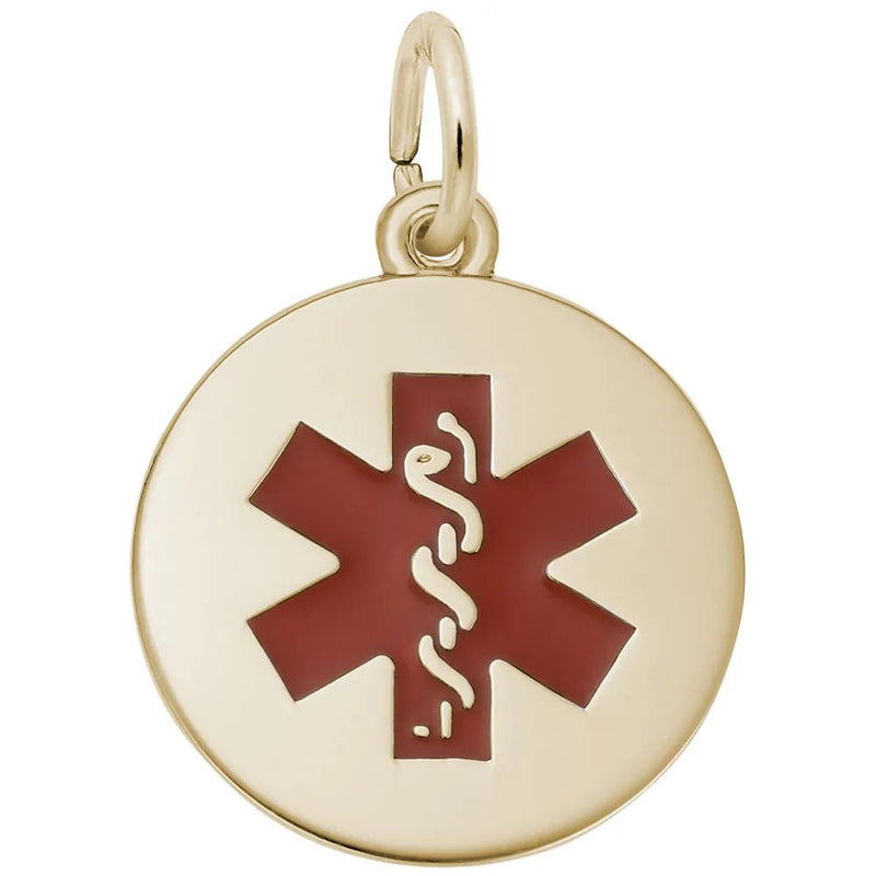 Rembrandt Charms - Medical Painted Symbol Charm - 5098-001 Rembrandt Charms Charm Birmingham Jewelry 