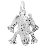 Rembrandt Charms - New Frog Charm - 510 Rembrandt Charms Charm Birmingham Jewelry 