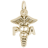 Rembrandt Charms - Physicians Assistant Caduceus Charm - 3316 Rembrandt Charms Charm Birmingham Jewelry 