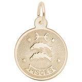 Rembrandt Charms - Pisces Charm - 4582 Rembrandt Charms Charm Birmingham Jewelry 