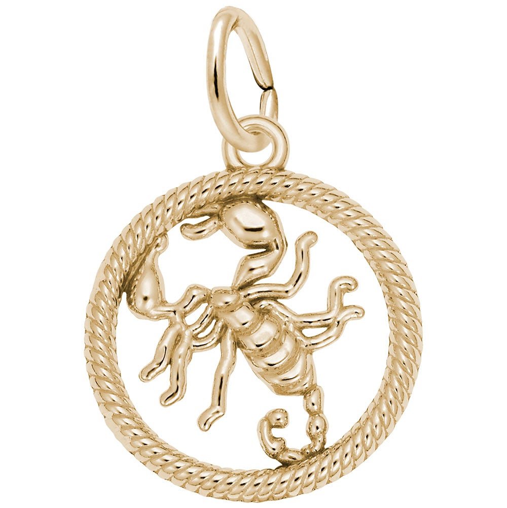 Rembrandt Charms - Scorpio Scorpion Charm - 4780 Rembrandt Charms Charm Birmingham Jewelry 