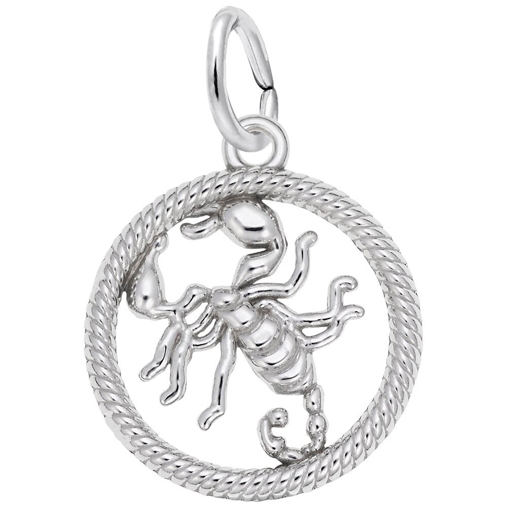 Rembrandt Charms - Scorpio Scorpion Charm - 4780 Rembrandt Charms Charm Birmingham Jewelry 