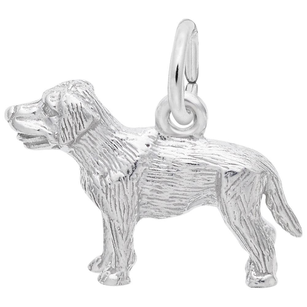 Rembrandt Charms - Small Labrador Retriever Dog Charm - 2404 Rembrandt Charms Charm Birmingham Jewelry 