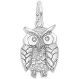 Rembrandt Charms - Rembrandt Charms - Wise Owl Charm - 1673 - Birmingham Jewelry